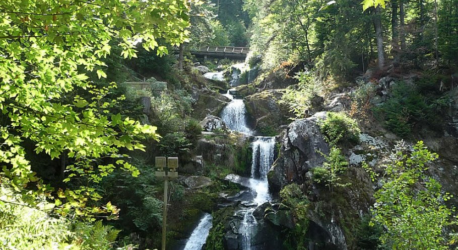 Black Forest (Schwarzwald), Germany
